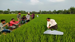 Activities of Climate-friendly Agriculture Project.jpg